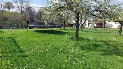 Ein Garten an der Unterkunft Fewo Helene im schönen Odw