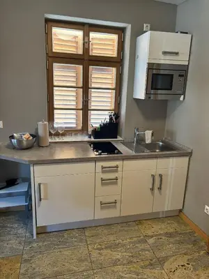 Küche/Küchenzeile in der Unterkunft Bretten Suites