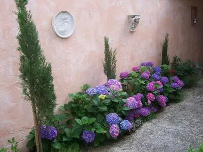 Grundriss der Unterkunft 1-bedroom holiday home