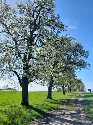 Naturlandschaft in der Nähe der Ferienwohnung