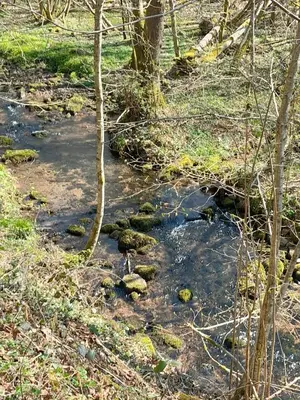 Naturlandschaft in der Nähe der Ferienwohnung