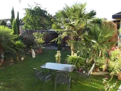 Ein Garten an der Unterkunft Guesthouse König