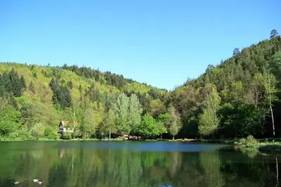 Naturlandschaft in der Nähe der Ferienwohnung