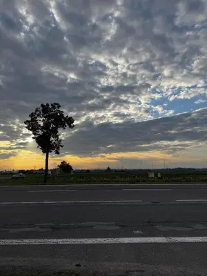 Blick auf den Sonnenuntergang/Sonnenaufgang von der Ferienwohnung aus oder aus der Nähe