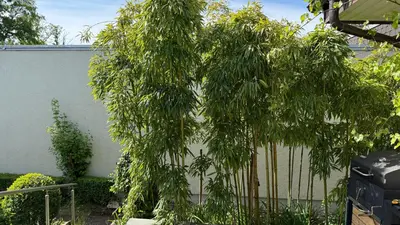 Ein Garten an der Unterkunft E&E Appartement