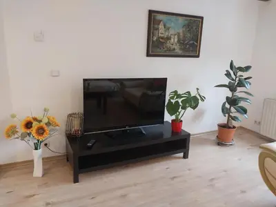 TV/Unterhaltungsangebot in der Unterkunft Talblick & Ruhe in Hirschhorn Langenthal