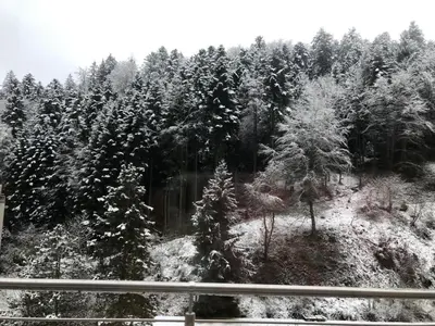 Apartment in Bad Herrenalb im Winter
