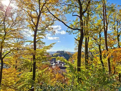 Naturlandschaft in der Nähe der Ferienwohnung