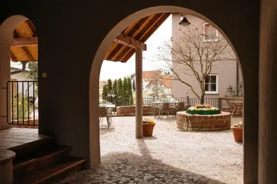 Ein Garten an der Unterkunft Consulat des Weins