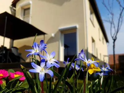 Ein Garten an der Unterkunft Ferienhaus Senta