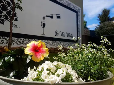 Ein Garten an der Unterkunft Ferienhaus Senta