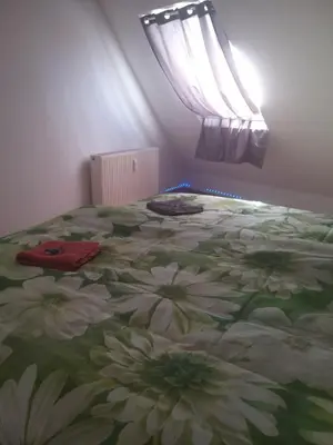 Ein Bett oder Betten in einem Zimmer der Unterkunft Ueber den Dächern von Alzey