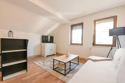 TV/Unterhaltungsangebot in der Unterkunft G Living Klingenberg153 City und Work Apartment