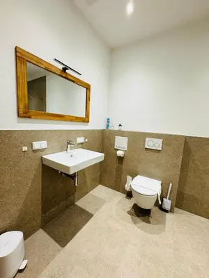 Ein Badezimmer in der Unterkunft NIRO I Exklusive Residenz - Historischer Ballsaal - Deluxe, Infrarotkabine, Pac-Man, Parkplatz, TV