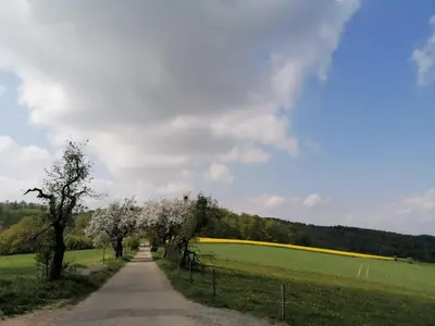 Naturlandschaft in der Nähe der Ferienwohnung