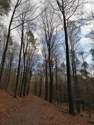Naturlandschaft in der Nähe der Ferienwohnung