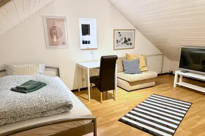 TV/Unterhaltungsangebot in der Unterkunft Domus Palatina FeWo & Business Apartments