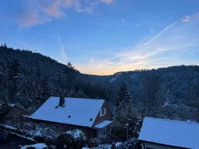 Naturlandschaft in der Nähe der Ferienwohnung