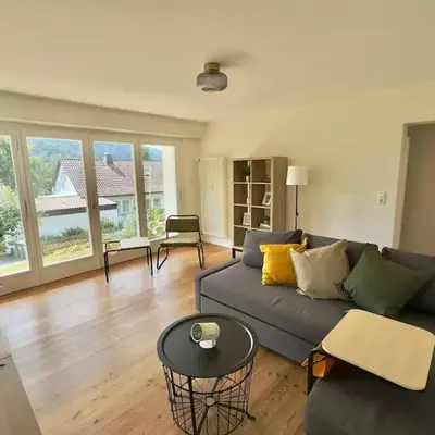 Cozy apartment with a Black Forest view