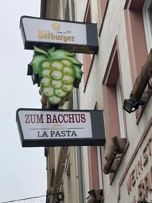 Ein Zertifikat, Auszeichnung, Logo oder anderes Dokument, das in der Unterkunft Haus Zum Bacchus Privates Einzelzimmer nahe Bahnhof Römisches Theater, Mainz ausgestellt ist