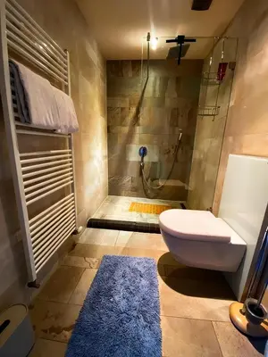 Ein Badezimmer in der Unterkunft Weingut Mathis Apartment 1 Burgblick
