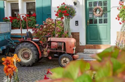 Ein Garten an der Unterkunft Weingut Stefan Meyer