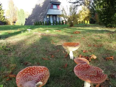 Ein Garten an der Unterkunft Holiday Home Haus Winnetou by Interhome