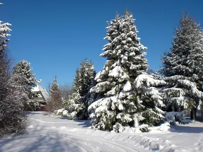 Holiday Home Haus Winnetou by Interhome im Winter
