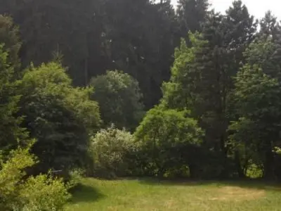 Naturlandschaft in der Nähe des Ferienhauses