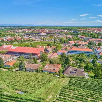 Weinbergnest