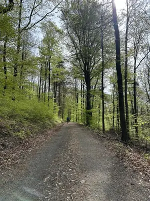 Naturlandschaft in der Nähe der Ferienwohnung