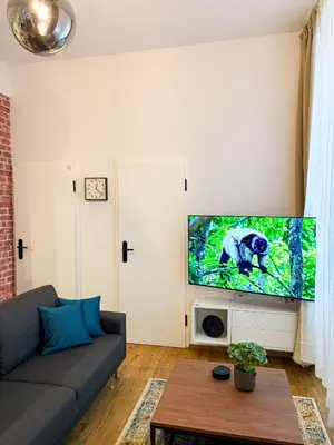 TV/Unterhaltungsangebot in der Unterkunft Neckarloft - Im Herzen der Altstadt