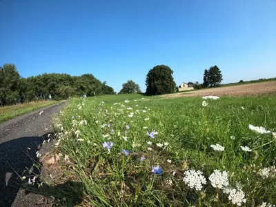 Naturlandschaft in der Nähe der Ferienwohnung