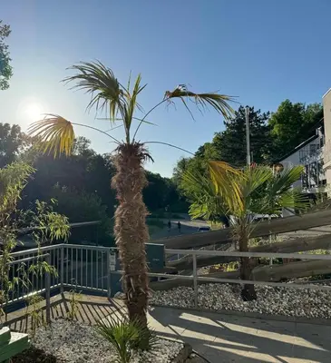 Ein Garten an der Unterkunft Gehobenes Apartment mit Charme
