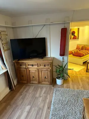 TV/Unterhaltungsangebot in der Unterkunft Ferienwohnung Im Einklang