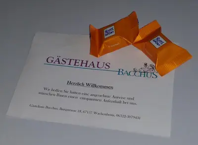 Grundriss der Unterkunft Gästehaus Bacchus
