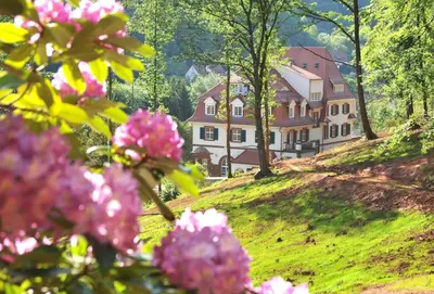 Ein Garten an der Unterkunft Jugendstilhotel Trifels