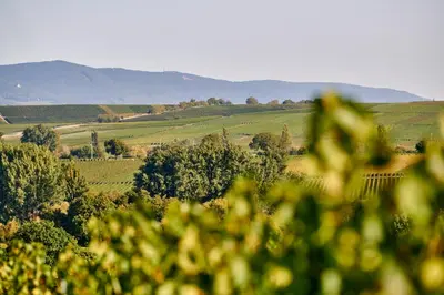 Naturlandschaft in der Nähe des Hotels
