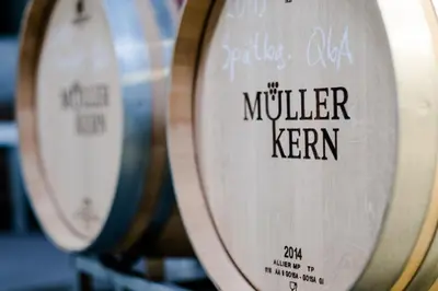 Ein Zertifikat, Auszeichnung, Logo oder anderes Dokument, das in der Unterkunft Weingut & Ferienwohnungen Müller-Kern ausgestellt ist