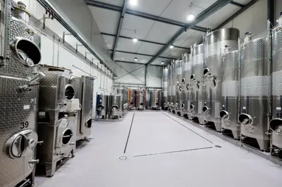 Grundriss der Unterkunft Weingut & Ferienwohnungen Müller-Kern