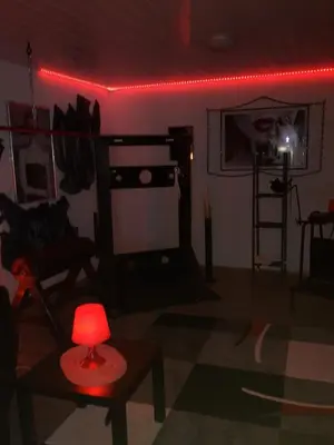 Ein Sitzbereich in der Unterkunft Exclusiv-Mietapartment (BDSM)-Heidelberg