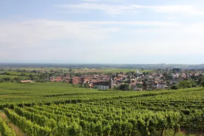 Naturlandschaft in der Nähe der Ferienwohnung