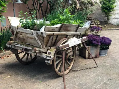 Ein Garten an der Unterkunft Hotel Restaurant Goldenes Ross