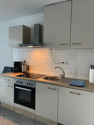 Küche/Küchenzeile in der Unterkunft SoNi Apartment