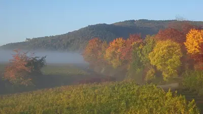 Naturlandschaft in der Nähe des Privatzimmers
