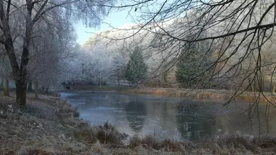 Naturlandschaft in der Nähe des Privatzimmers