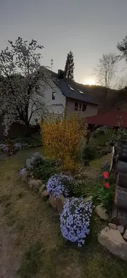 Ein Garten an der Unterkunft Gästehaus Gerhardt