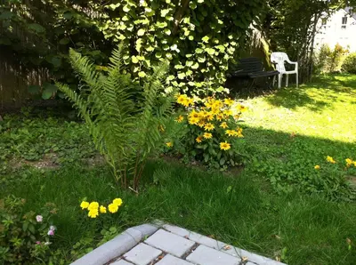 Ein Garten an der Unterkunft Ferienwohnungen Haus Sauer