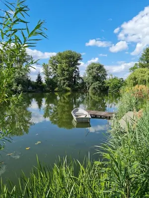 Naturlandschaft in der Nähe der Ferienwohnung