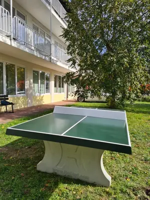 Tischtennis in der Unterkunft Gästehaus Haßloch/Pfalz oder in der Nähe
